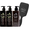Saphira All You Need Is Love 4 pc.