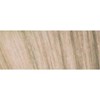 Schwarzkopf 10-19 Ultra Blonde Cendre Violet 2.1 Fl. Oz.