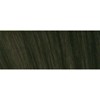 Schwarzkopf 5-31 Light Brown Mat Cendre 2.1 Fl. Oz.