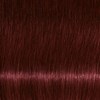 Schwarzkopf 4-88 Medium Brown Red Extra 2 Fl. Oz.