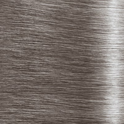 Schwarzkopf Professional Slate Grey 2.1 Fl. Oz.