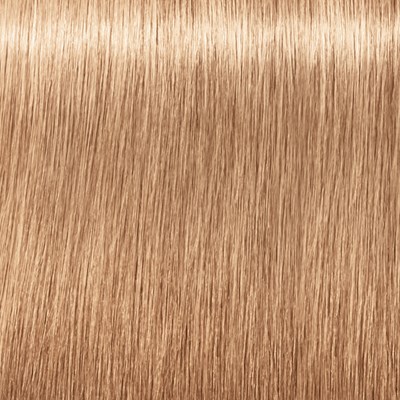Schwarzkopf Professional 12-481 Special Blonde Beige Red Cendré 2.1 Fl. Oz.