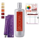 Schwarzkopf Professional IGORA ROYAL Fashion Lights Lift + Tone Kit 9 pc.