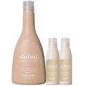 shibui Buy 1 EVERYDAYNESS CONDITIONER Retail, Get 2 Travel FREE 3 pc.
