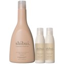 shibui Buy 1 EVERYDAYNESS SHAMPOO Retail, Get 2 Travel FREE 3 pc.