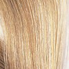 Wella 12NG- Surf Side Blonde Plus 1.4 Fl. Oz.