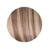 ZIPLOXX 20/613PB- Light Ash Blonde to Lightest Blonde