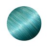 ZIPLOXX V11 - Aqua 20 inch