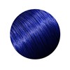 ZIPLOXX V13 - Royal Blue 20 inch