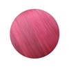 ZIPLOXX V17 - Hot Pink 20 inch