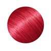 ZIPLOXX V19 - Vivid Red 20 inch