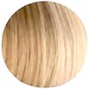 ZIPLOXX 20/613HL - Light Ash Blonde to Lightest Blonde 20 inch
