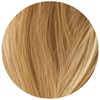 ZIPLOXX 27 - Honey Blonde 16 inch