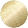 ZIPLOXX 24 - Golden Blonde 20 inch